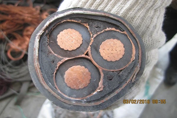 multi-core cable for stripping.jpg